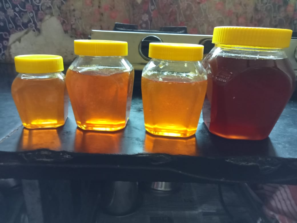 Honey Extraction